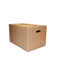 Carry box with handles